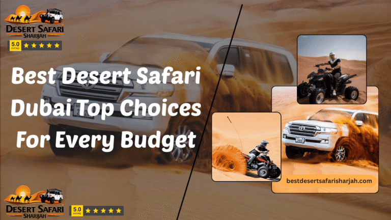 Best Desert Safari Dubai Top Choices For Every Budget