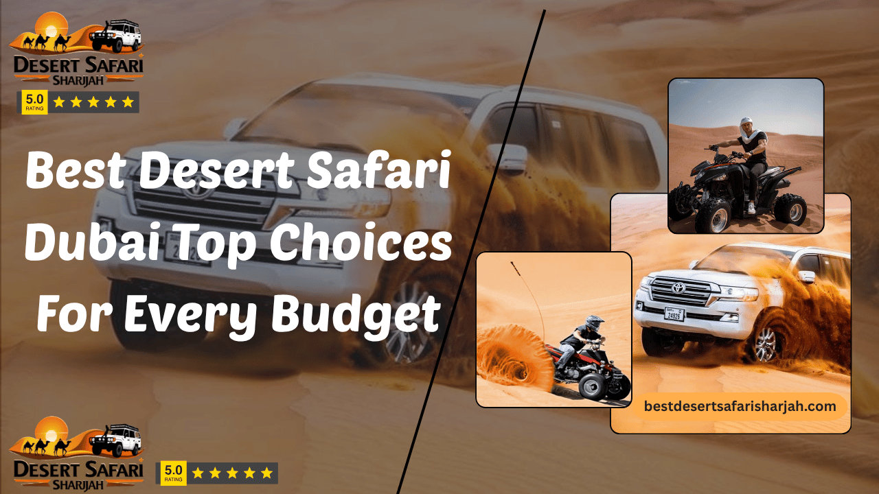 Best Desert Safari Dubai Top Choices For Every Budget